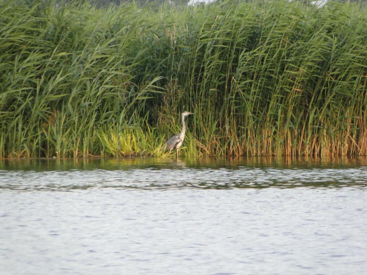 Zacisze Domki Letniskowe Karsibor Свиноуйсьце Экстерьер фото
