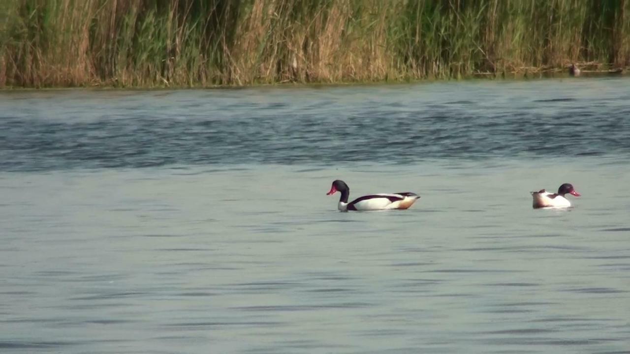 Zacisze Domki Letniskowe Karsibor Свиноуйсьце Экстерьер фото