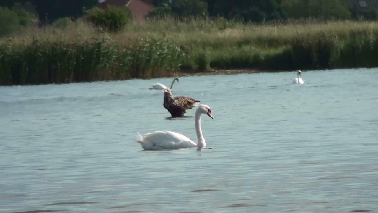 Zacisze Domki Letniskowe Karsibor Свиноуйсьце Экстерьер фото