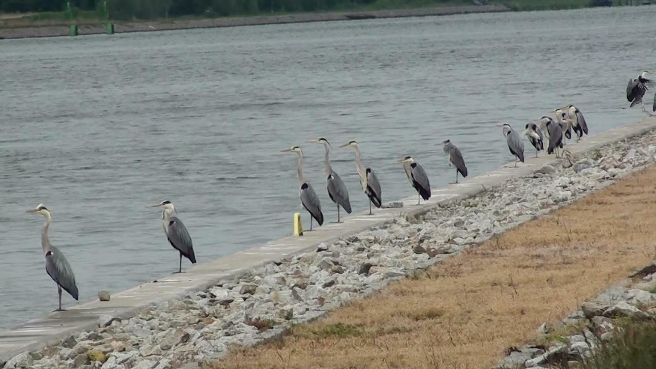 Zacisze Domki Letniskowe Karsibor Свиноуйсьце Экстерьер фото